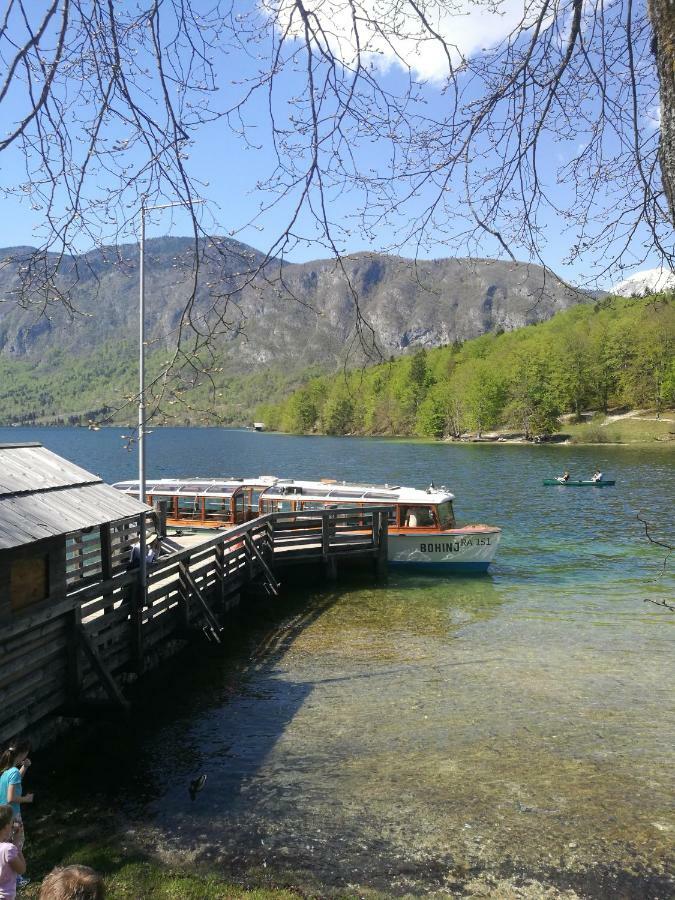 2 Studio & Apartment Cvetek Bohinj Exterior foto