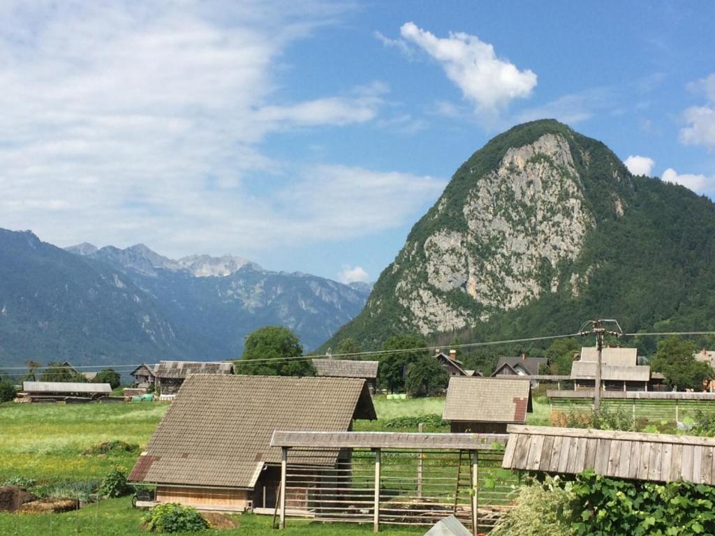 2 Studio & Apartment Cvetek Bohinj Exterior foto